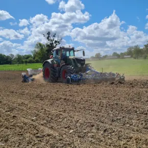 Implantation des cultures