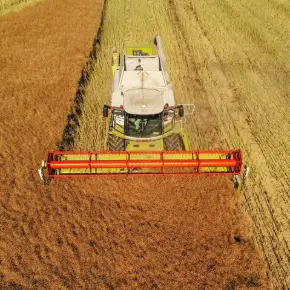 Récolte des céréales