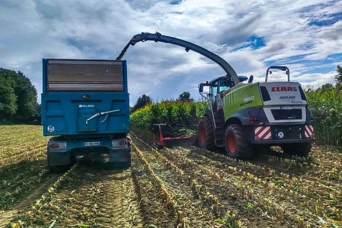 Ensilage du maïs fourrage