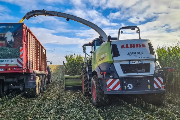 Ensilage du maïs épi