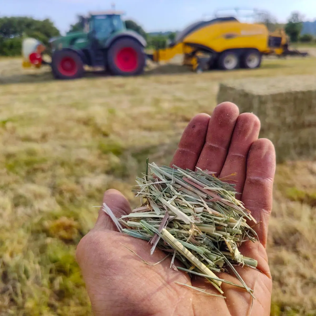 Longeur de coupe 3 à 8 cm