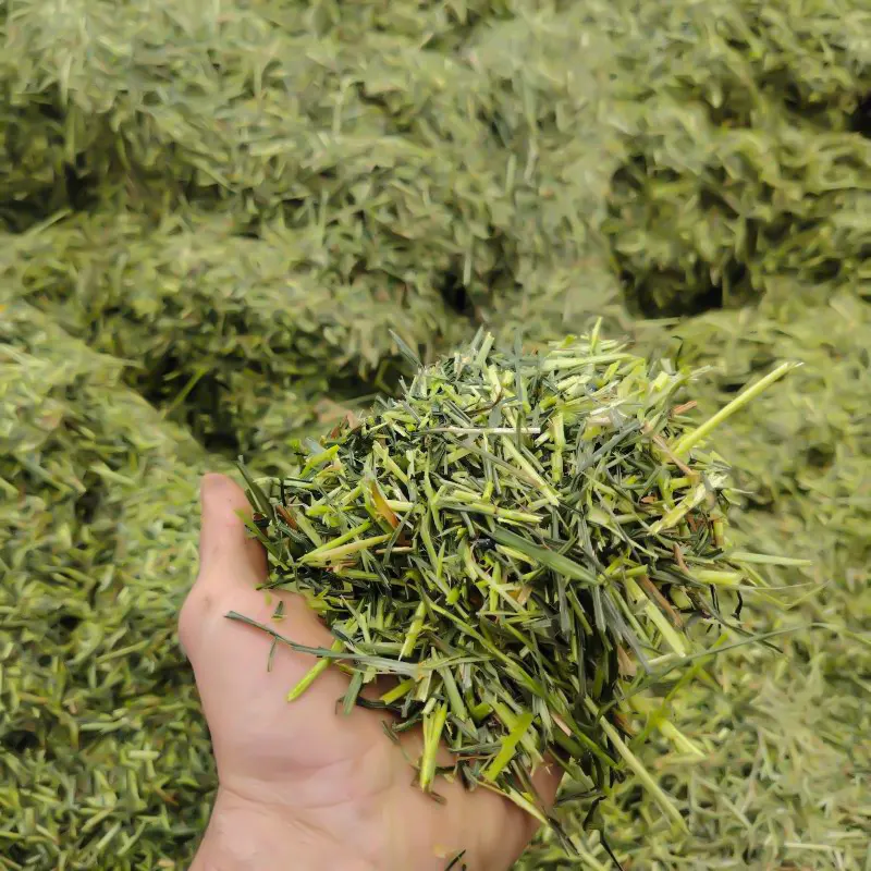 Longueur de coupe de l'ensilage d'herbe enrubanné